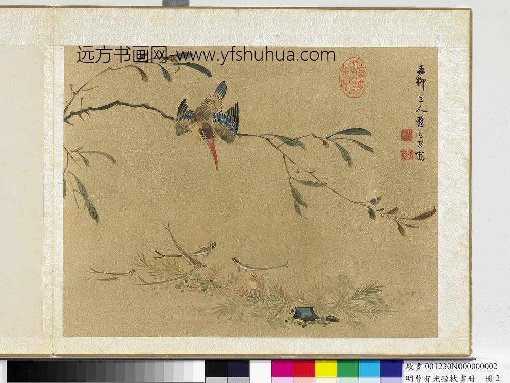 明曹有光孙杕画册册-翠鸟鯈鱼图