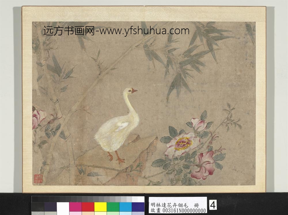 明林达花卉翎毛册-月季竹鹅-