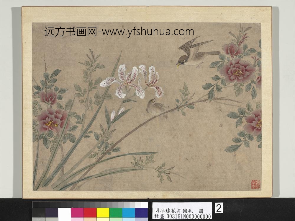 明林达花卉翎毛册-月季麻雀-