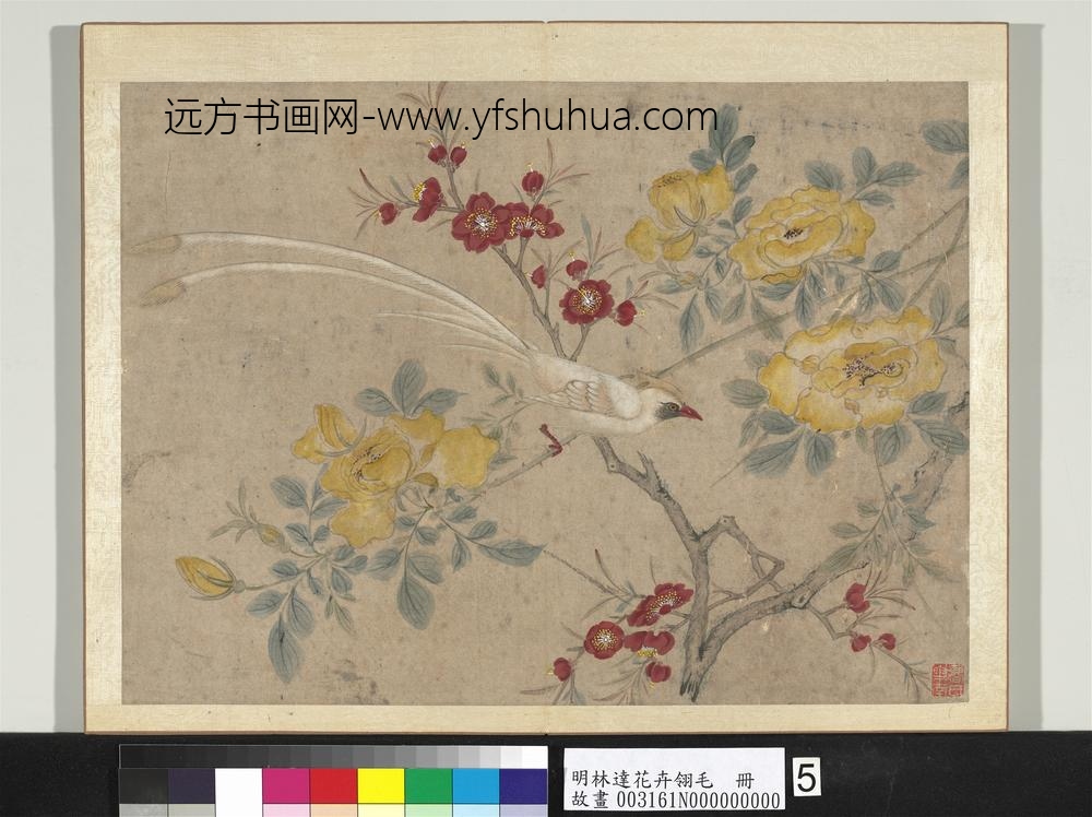 明林达花卉翎毛册-桃花寿带-