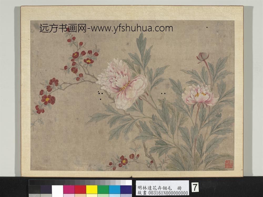 明林达花卉翎毛册-芍药花草-