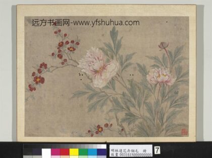 明林达花卉翎毛册 芍药花草 2.jpg