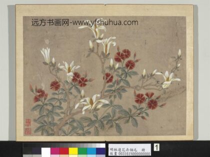 明林达花卉翎毛册 辛夷石竹 2.jpg