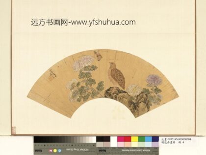 明花卉画册 明凌必正菊花鹌鹑.jpg