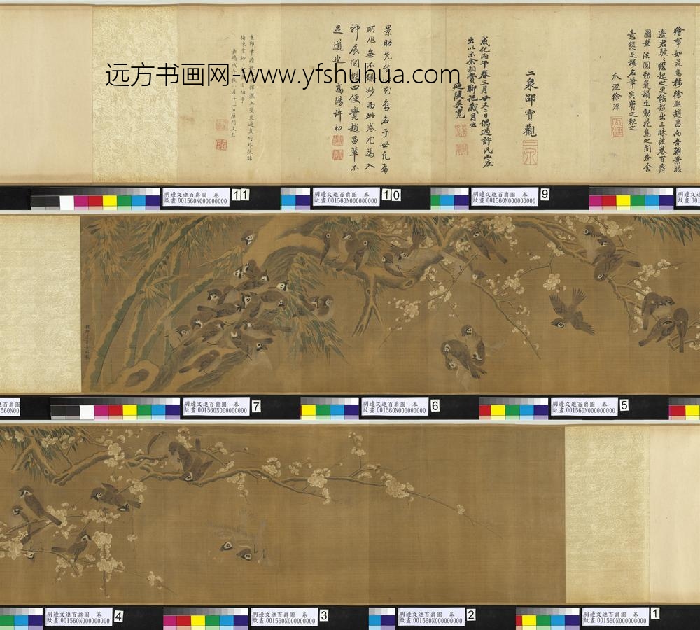 明边文进百爵图卷-