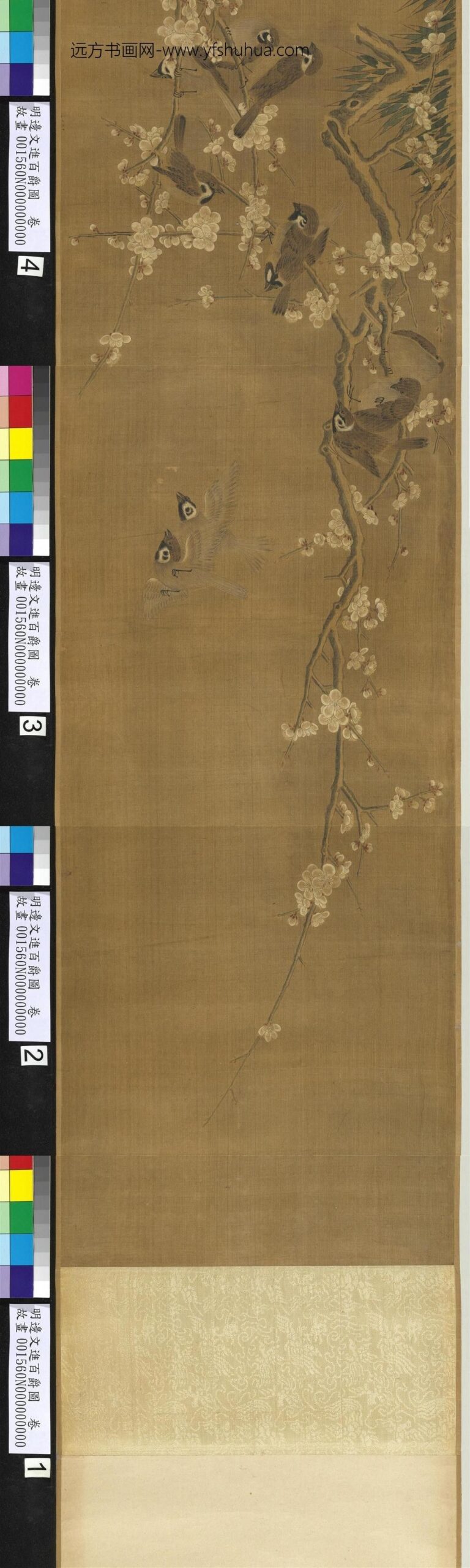 明边文进百爵图卷-_