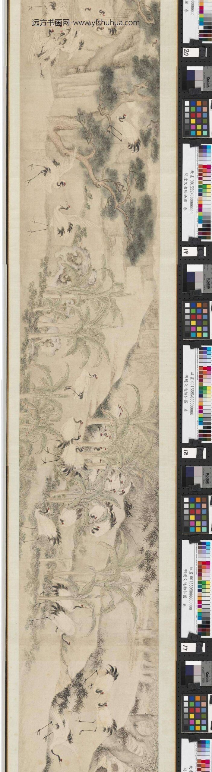 明边文进胎仙图卷-_