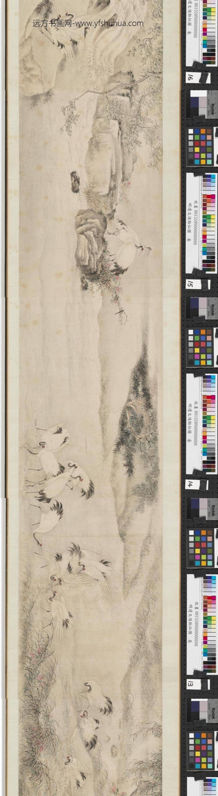 明边文进胎仙图卷-_