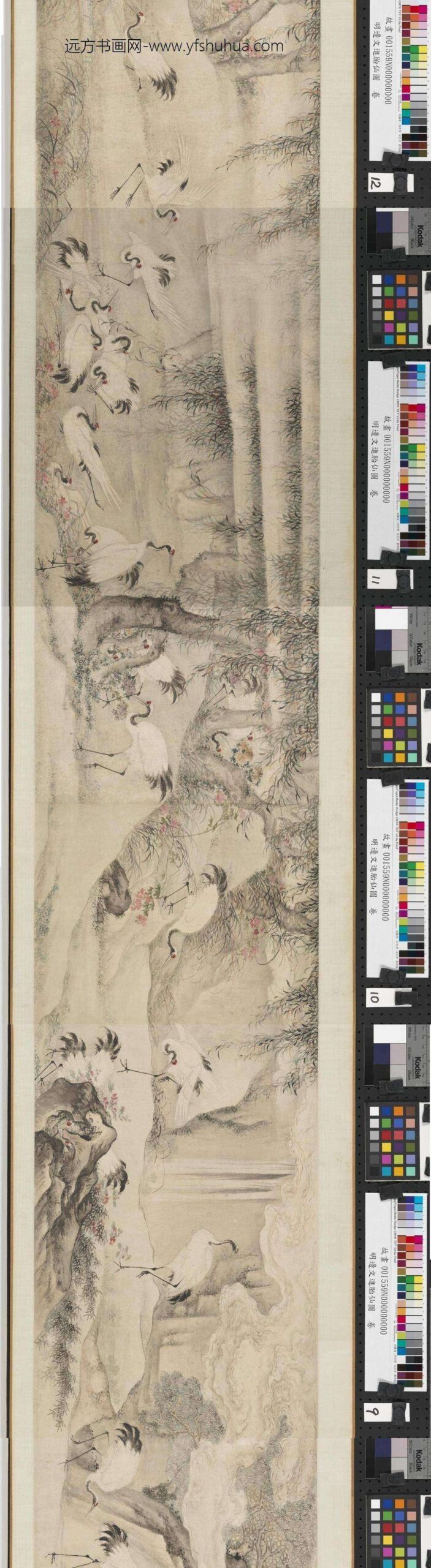 明边文进胎仙图卷-_