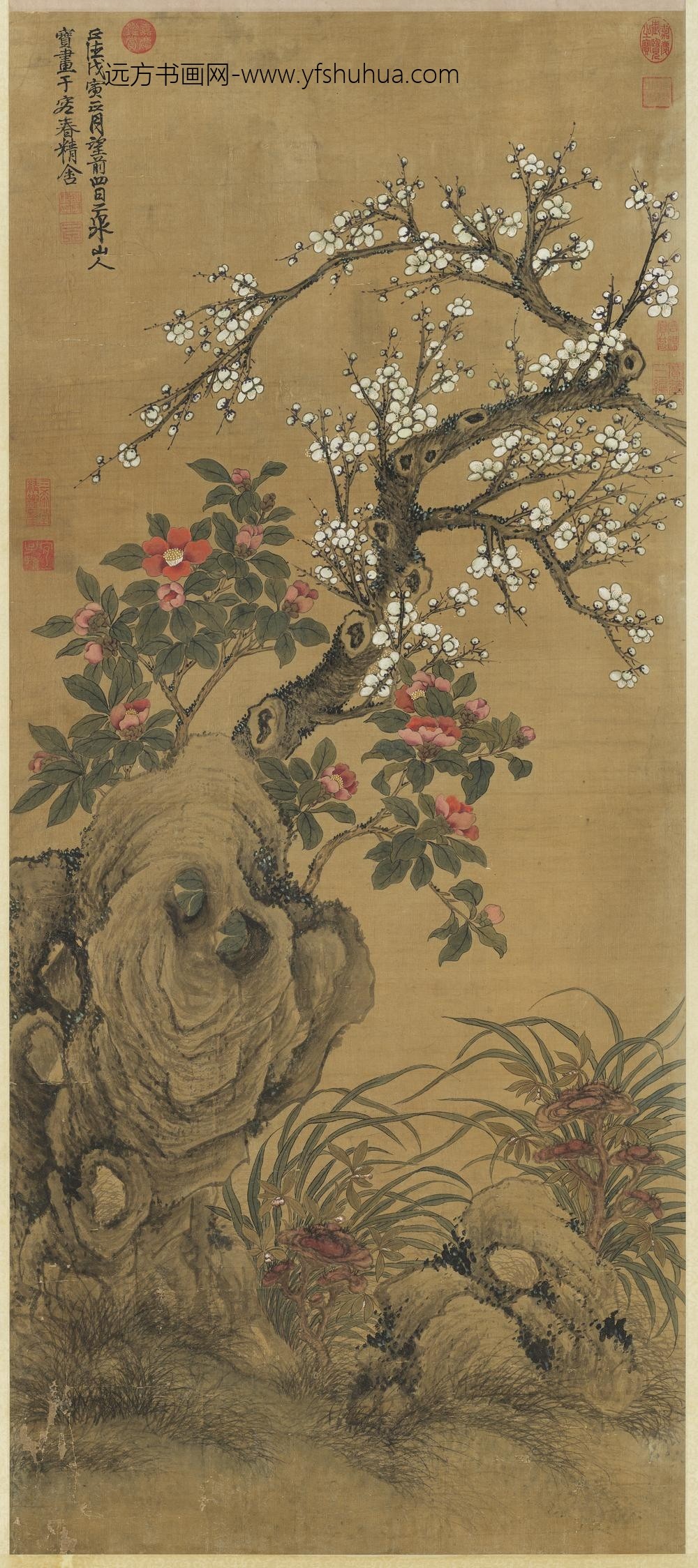 明邵宝梅花山茶轴