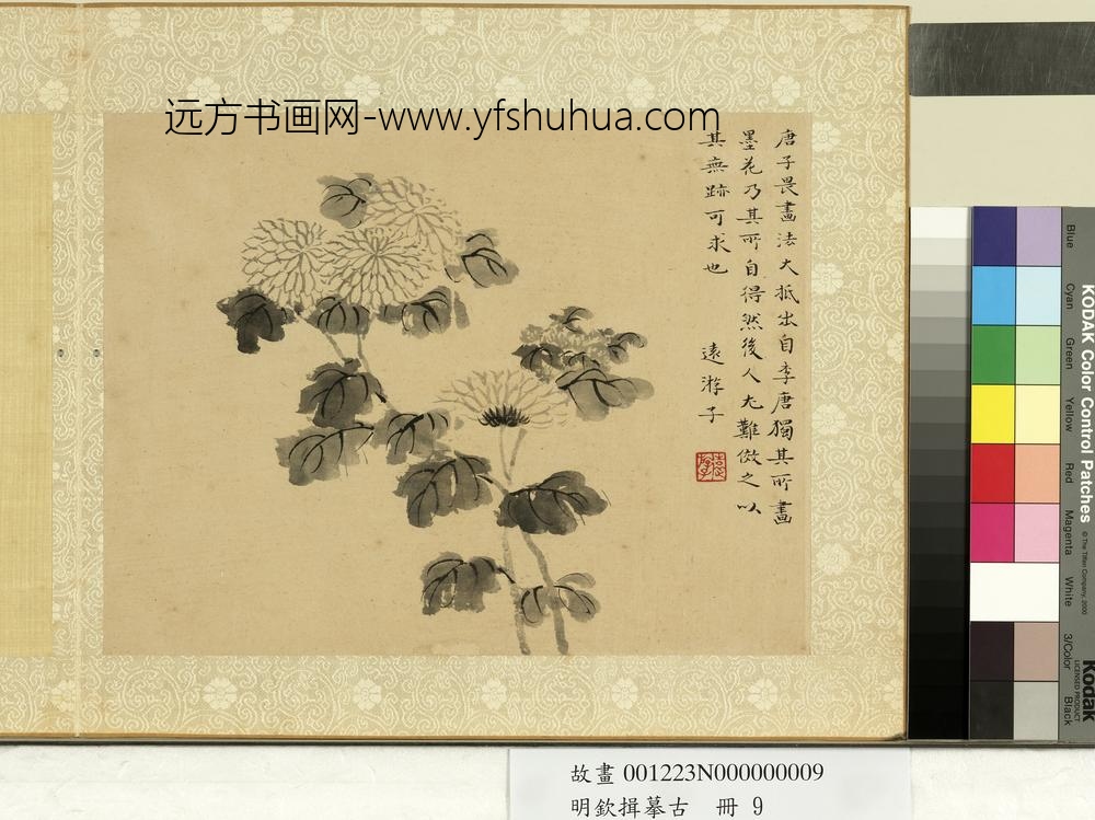 明钦揖摹古册-墨菊