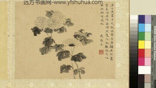 明钦揖摹古册 墨菊.jpg