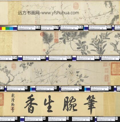 明陈樾写生花卉卷 1.jpg