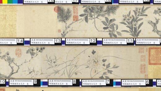 明陈樾写生花卉卷 1.jpg