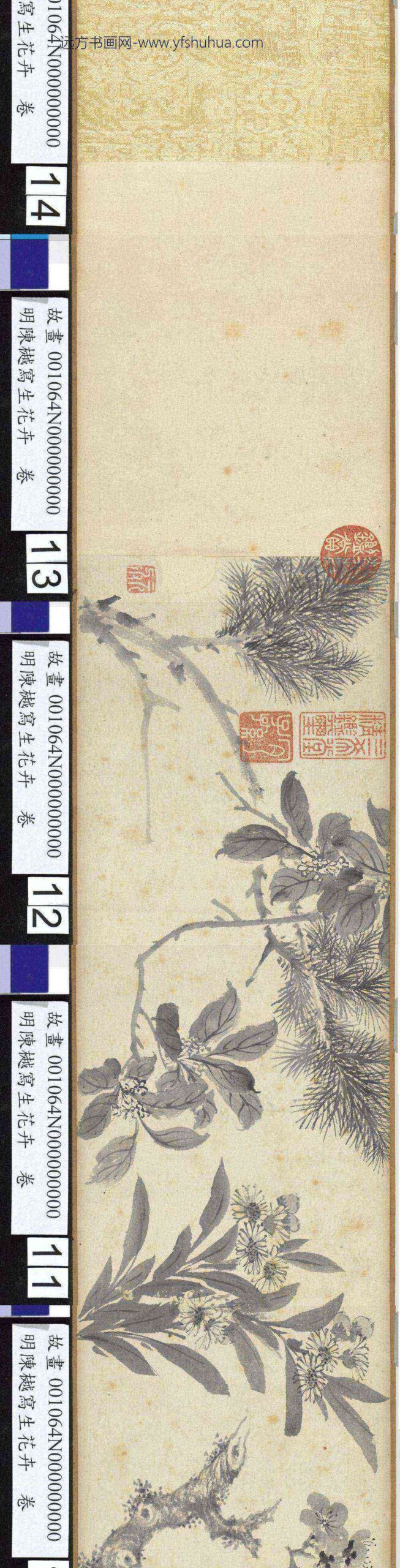 明陈樾写生花卉卷-_