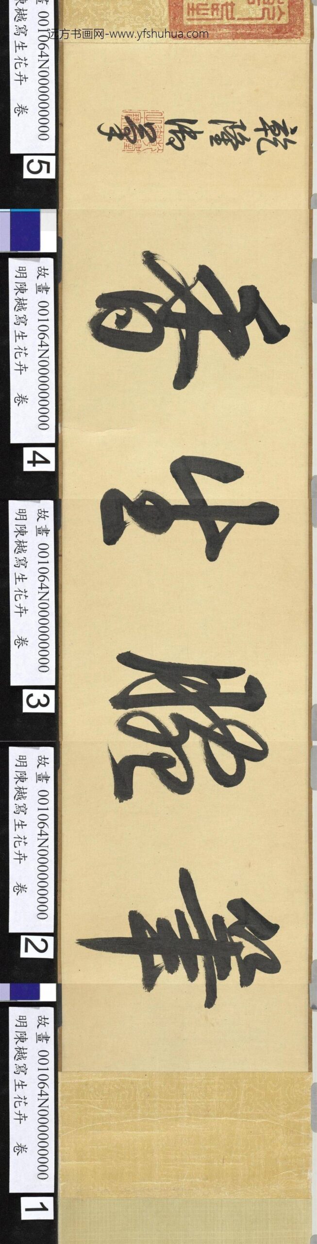 明陈樾写生花卉卷-_