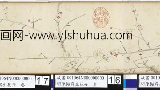 明陈樾写生花卉卷 20.jpg