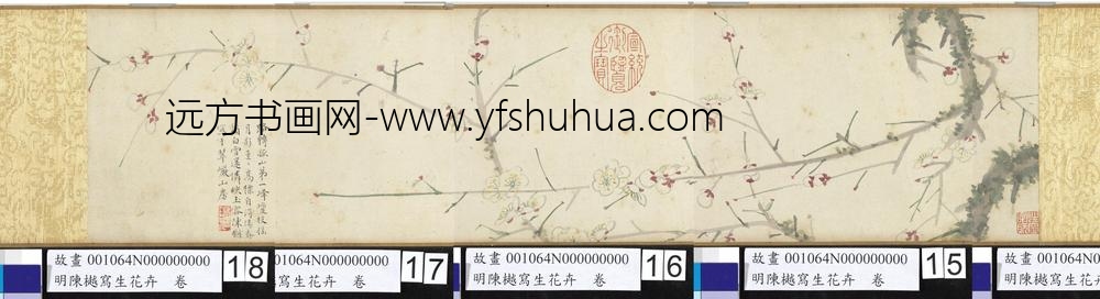 明陈樾写生花卉卷-