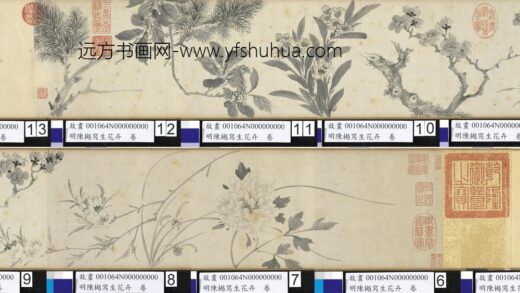 明陈樾写生花卉卷 前幅.jpg