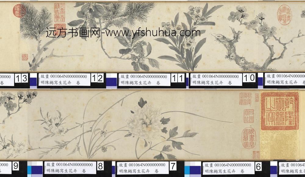 明陈樾写生花卉卷-前幅