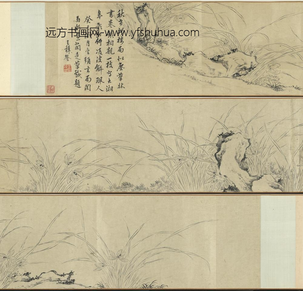 明马守真双钩兰-