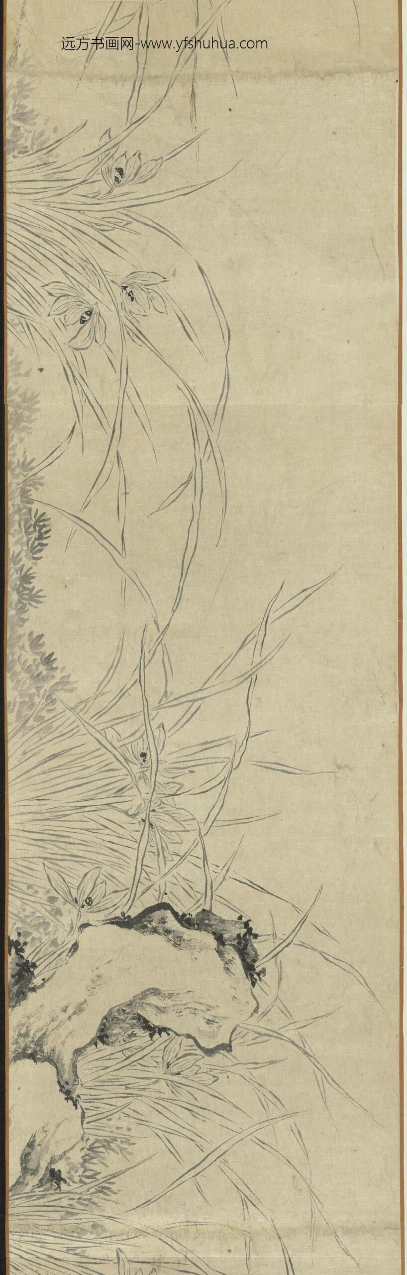 明马守真双钩兰-_