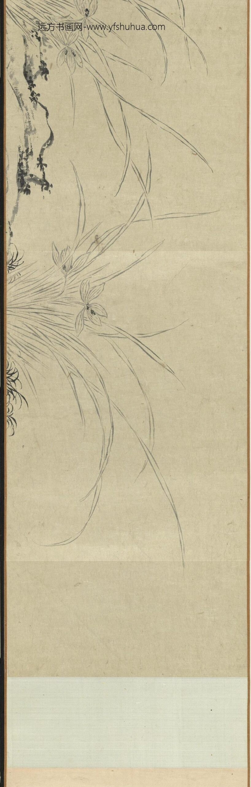 明马守真双钩兰-_