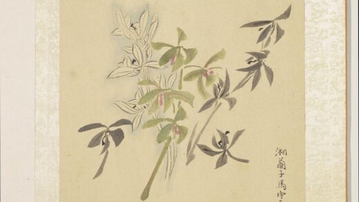 明马守真画册 兰卉 1.jpg