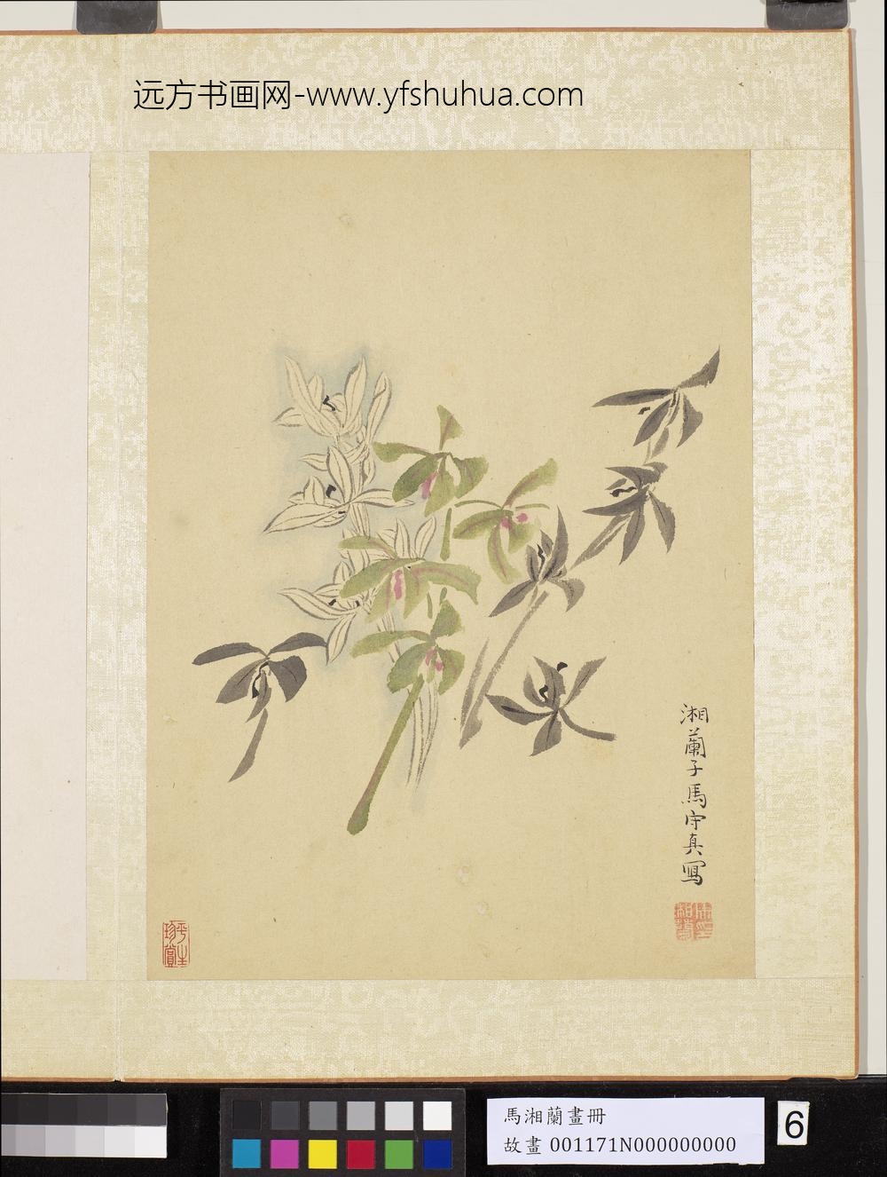 明马守真画册-兰卉-