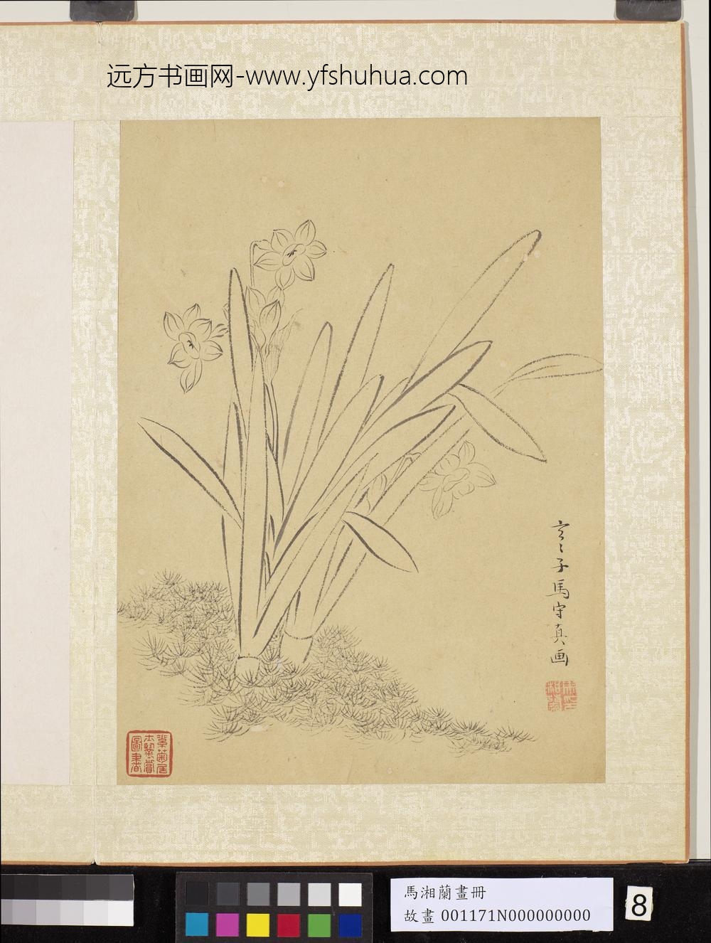 明马守真画册-白描水仙-