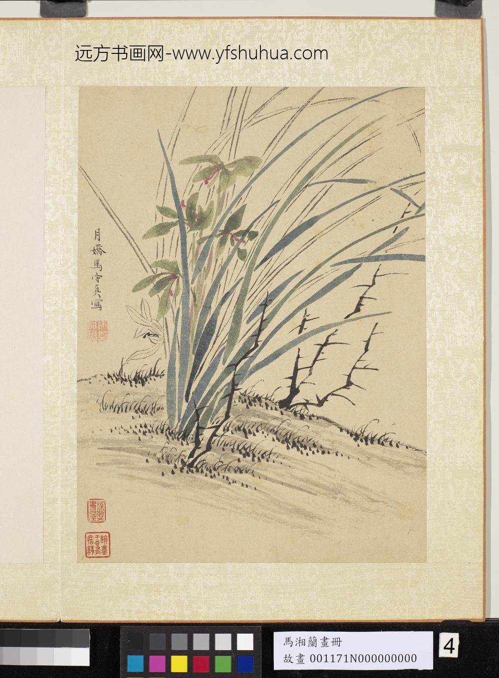 明马守真画册-荆棘丛兰-