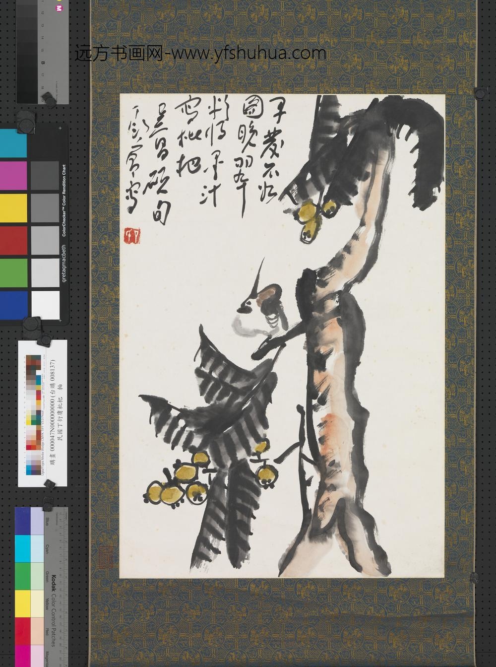 民国丁衍庸枇杷轴