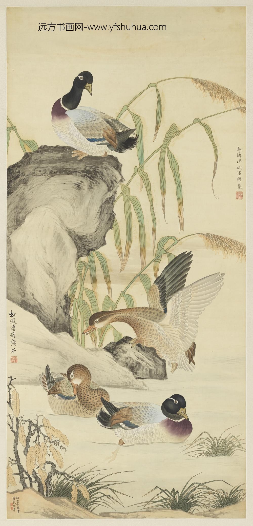 民国溥僴溥伒和镛合作芦鸭单片