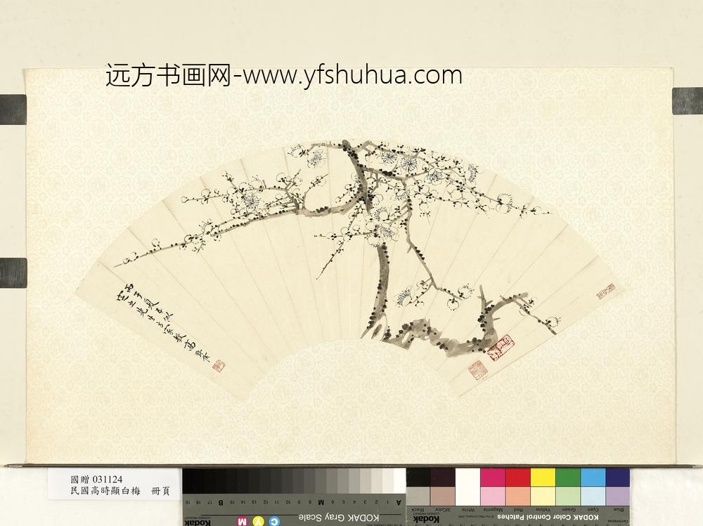 民国高时显白梅单片