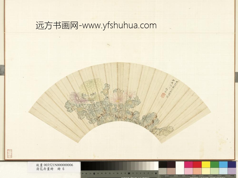 清花卉画册-清胡慥菊花