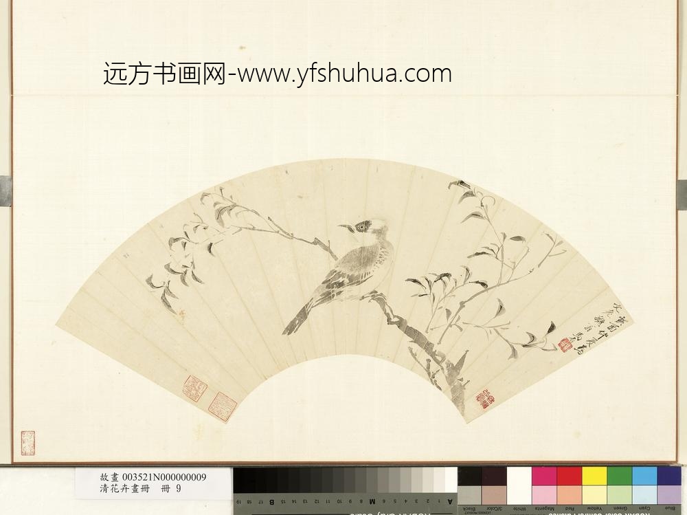 清花卉画册-清马眉杨柳白头