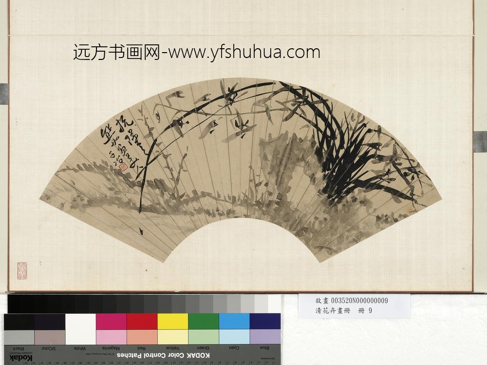 清花卉画册册-清人兰花