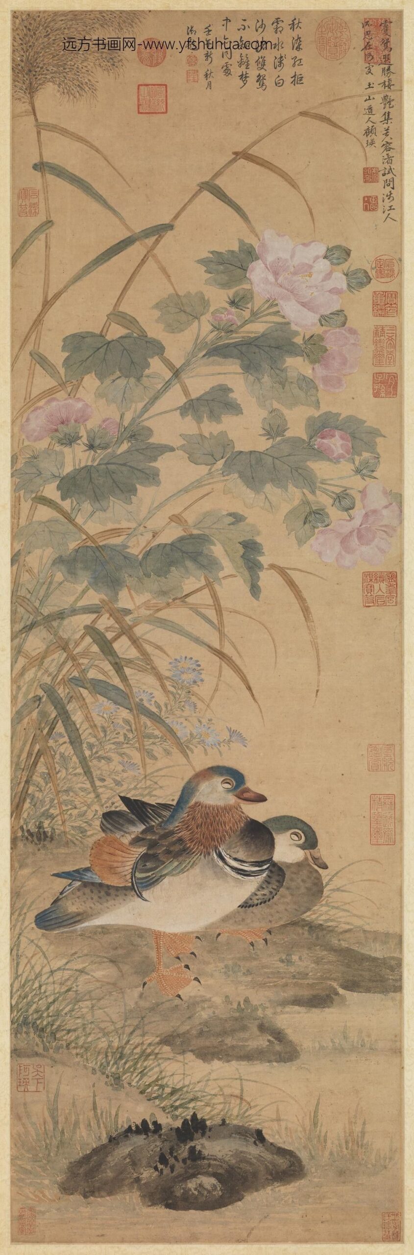 清顾瑛芙蓉双鸳图轴