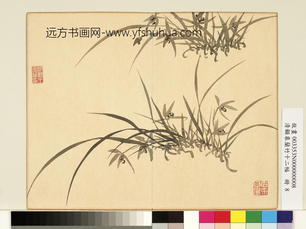 清顾皋兰竹十二幅册-画丛兰-