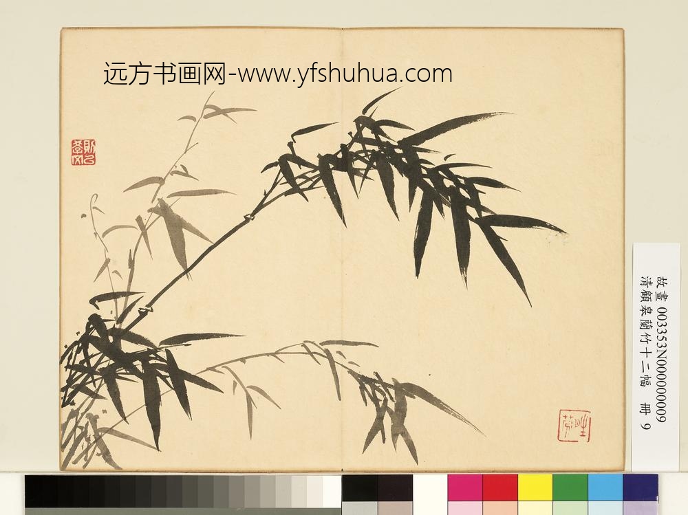 清顾皋兰竹十二幅册-画竹-