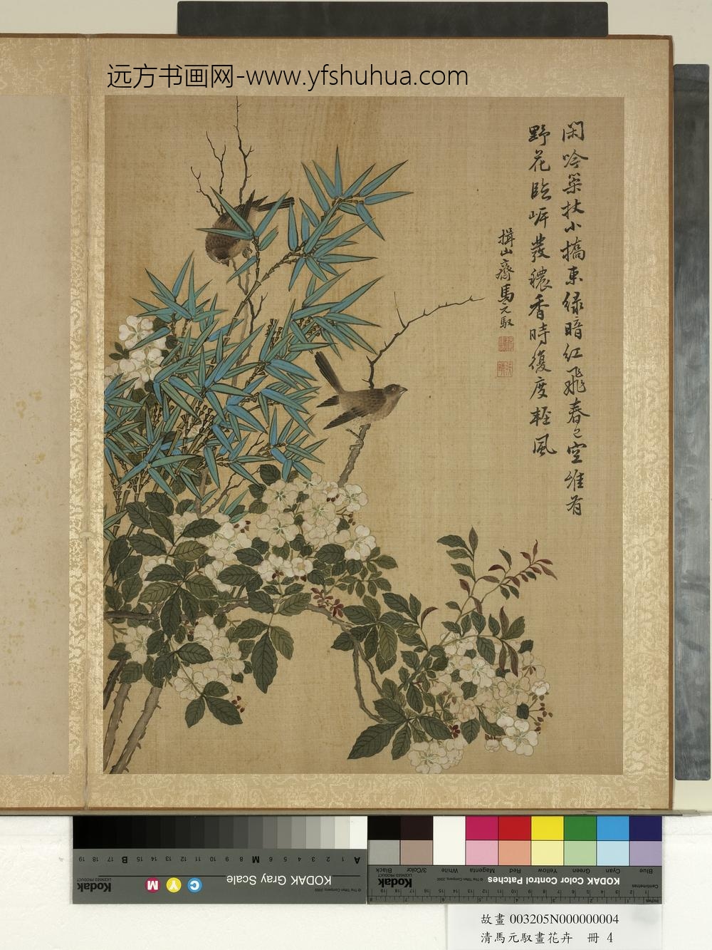 清马元驭画花卉册-月季竹鸟-