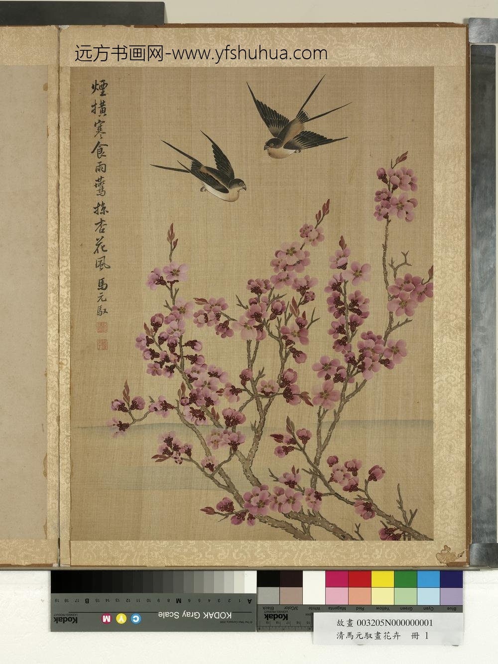 清马元驭画花卉册-杏花燕子-