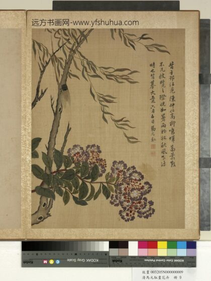 清马元驭画花卉册 杨柳紫薇 2.jpg