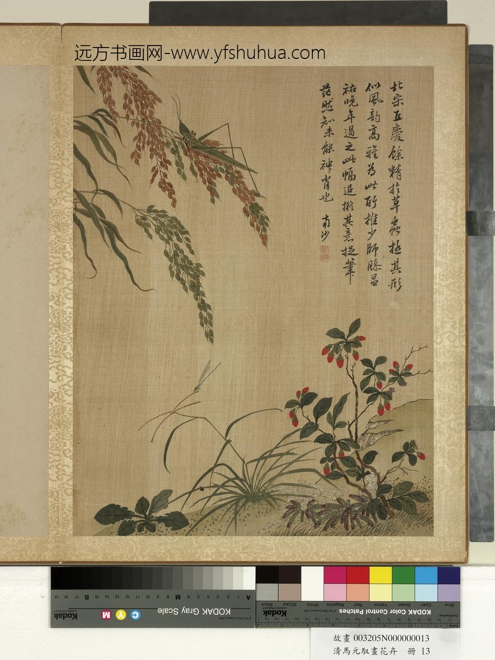 清马元驭画花卉册-枸杞蝗虫-