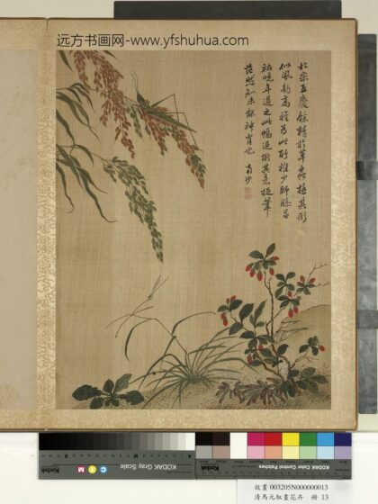 清马元驭画花卉册 枸杞蝗虫 2.jpg