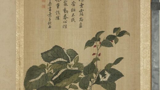 清马元驭画花卉册 桑椹蚕蛾 2.jpg