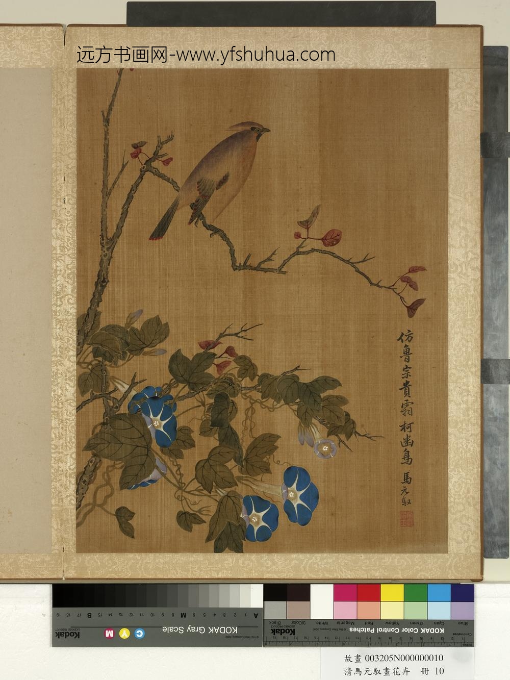 清马元驭画花卉册-牵牛雀鸟-