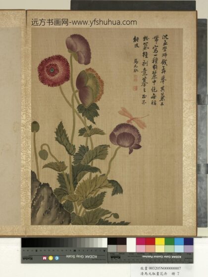 清马元驭画花卉册 罂粟蜻蜓 2.jpg
