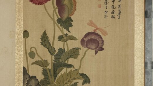 清马元驭画花卉册 罂粟蜻蜓 2.jpg