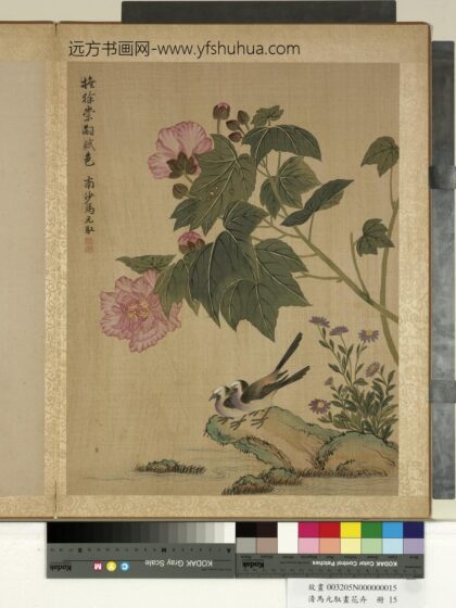 清马元驭画花卉册 芙蓉鹡鸰 2.jpg